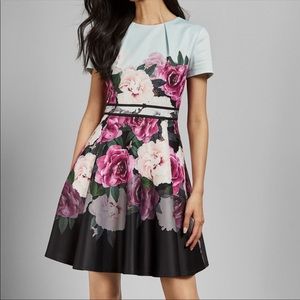 NEW Ted Baker Dress, size 0